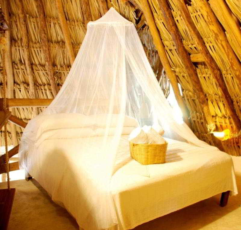 Casa Las Tortugas Petit Beach Hotel & Spa main