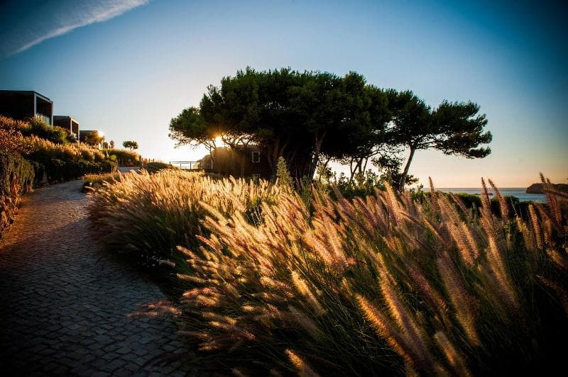 Martinhal Sagres Beach Family Resort Hotel 2