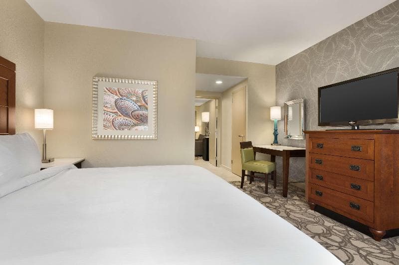 Embassy Suites San Antonio - International Airport 2