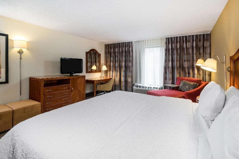 Hampton Inn Roanoke/Hollins - I-81 5