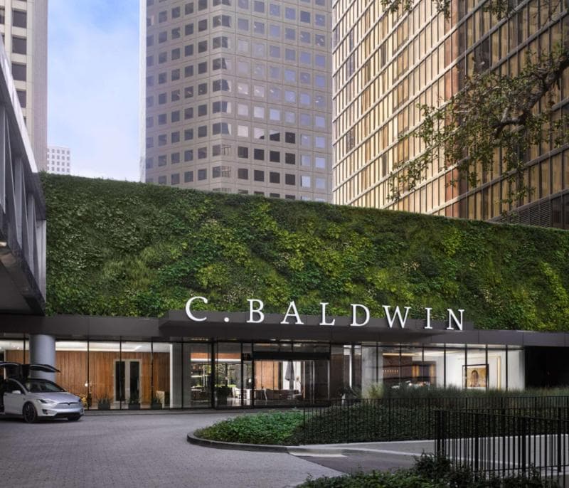 C. Baldwin, Curio Collection by Hilton photo 1