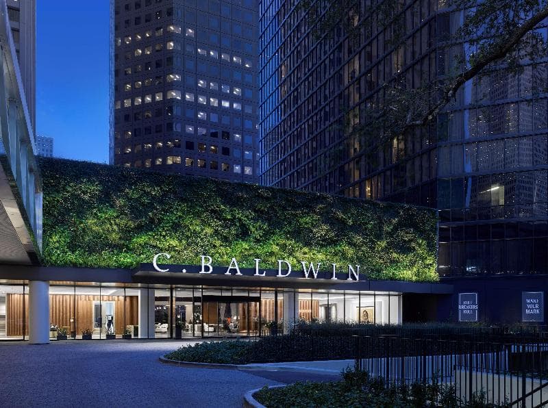 C. Baldwin, Curio Collection by Hilton 3
