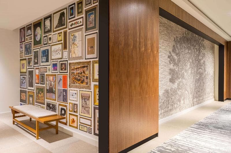 C. Baldwin, Curio Collection by Hilton 5