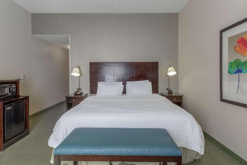 Hampton Inn Richmond - South 2