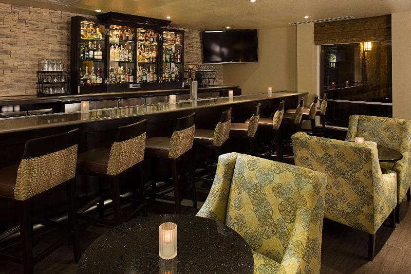 Hilton Garden Inn DFW Airport South 5