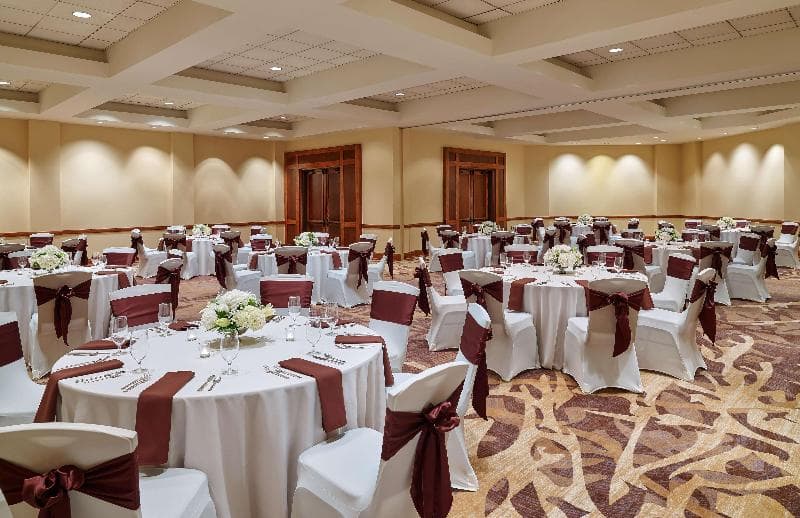 DoubleTree by Hilton San Antonio Airport photo 1