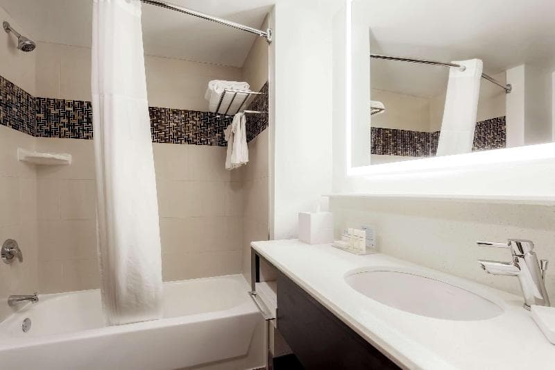 Hampton Inn & Suites Austin-Downtown/Convention Center 3