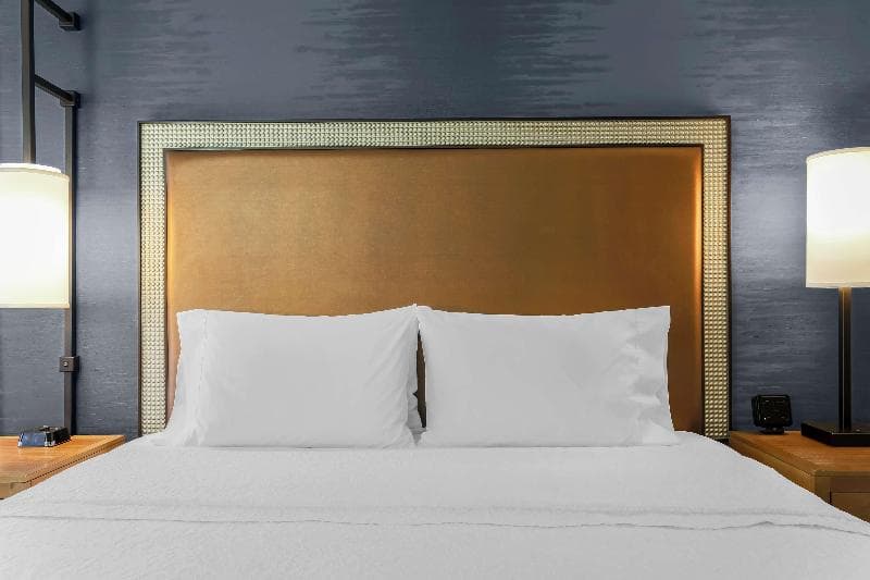 Hampton Inn & Suites Austin-Downtown/Convention Center 5