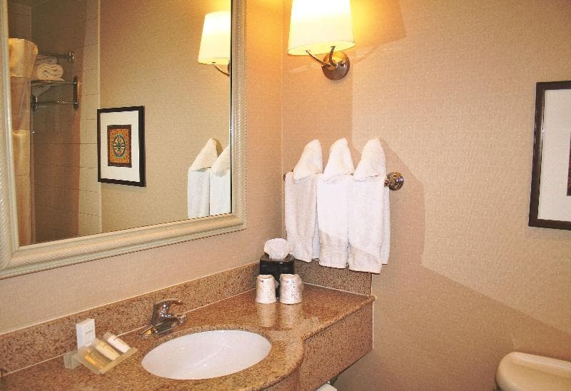 Hilton Garden Inn El Paso / University 4
