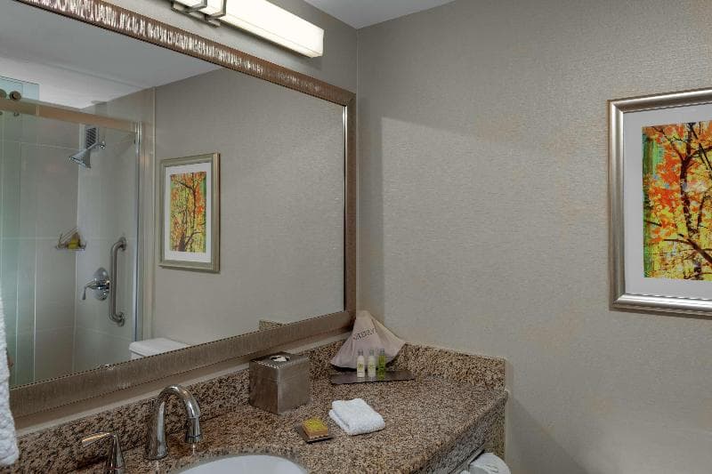 DoubleTree by Hilton Hotel Kansas City - Overland Park 2