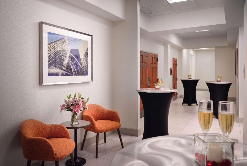 Hilton Garden Inn Las Colinas 5