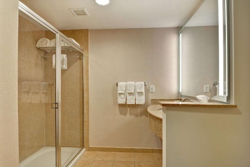 Hilton Garden Inn Lake Buena Vista/Orlando 1