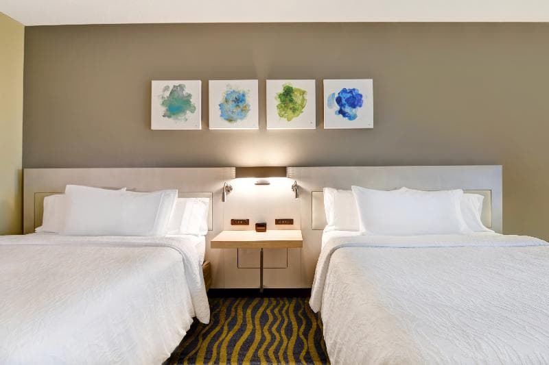 Hilton Garden Inn Lake Buena Vista/Orlando 3