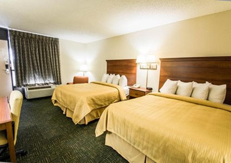 Equus Inn 5