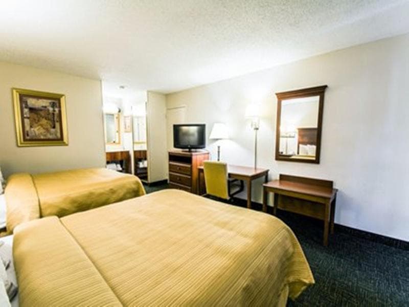 Equus Inn 3