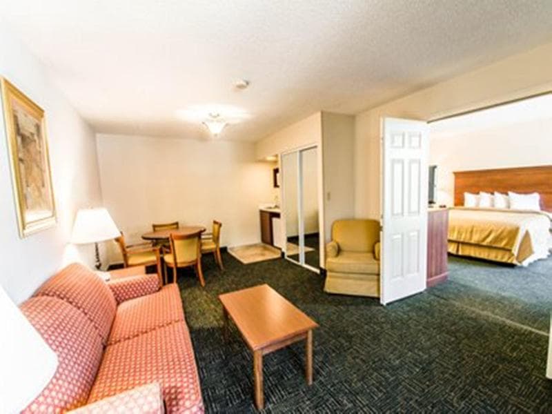 Equus Inn 2