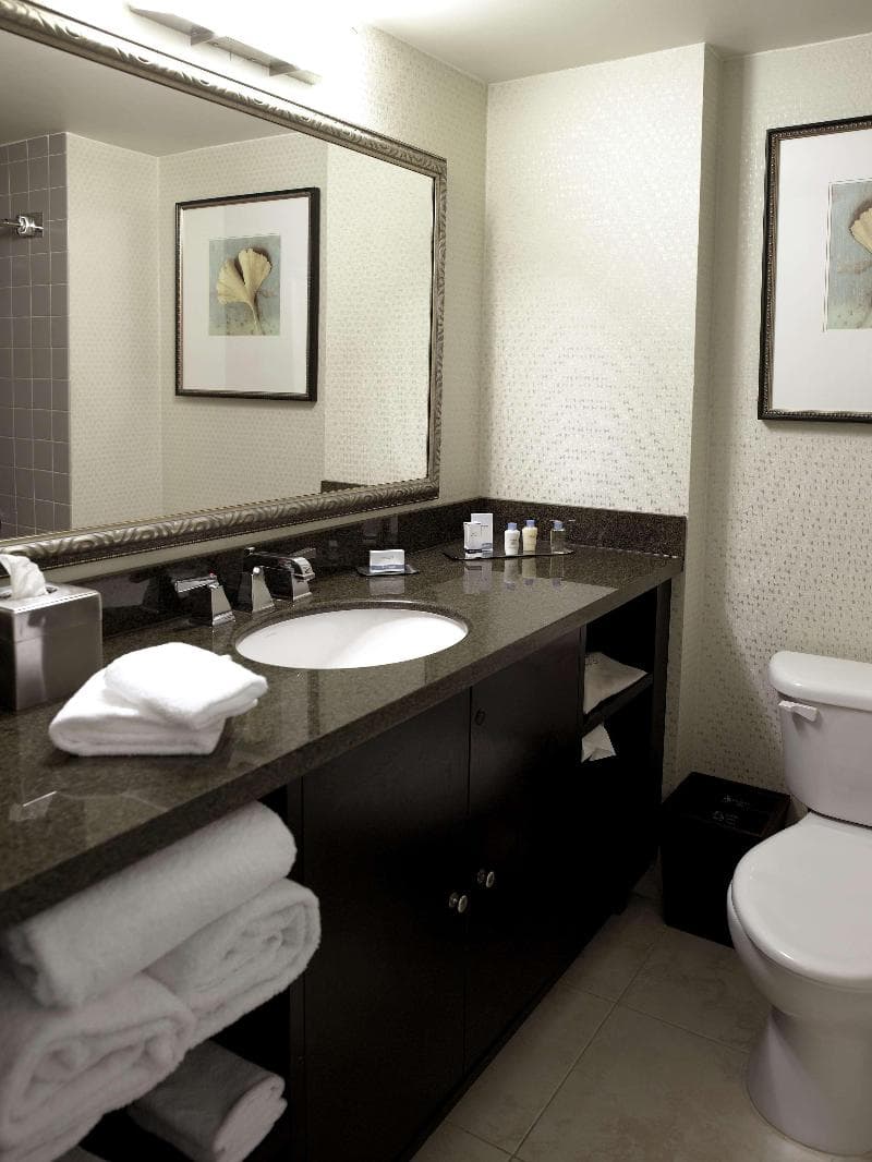 DoubleTree by Hilton Hotel Charlotte Airport 4