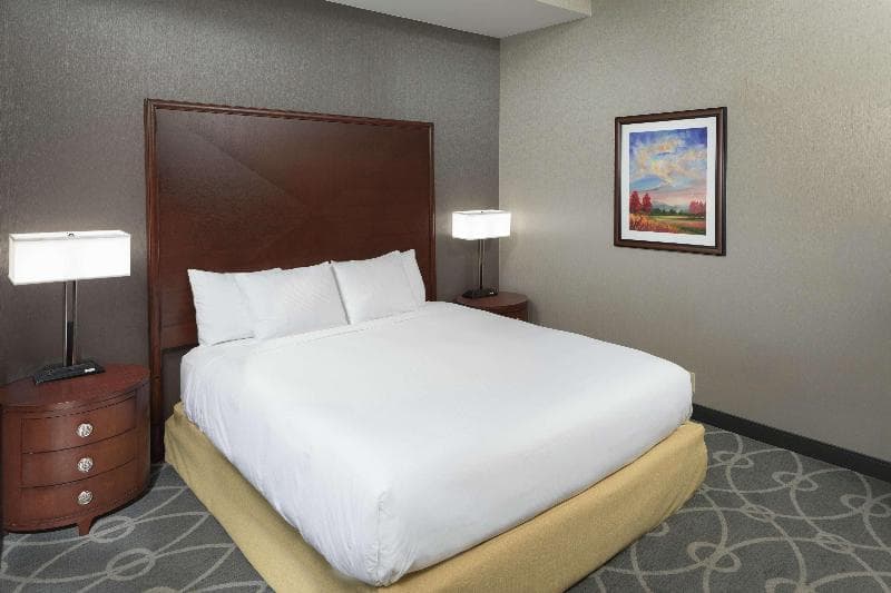 DoubleTree by Hilton Hotel Asheville - Biltmore 4