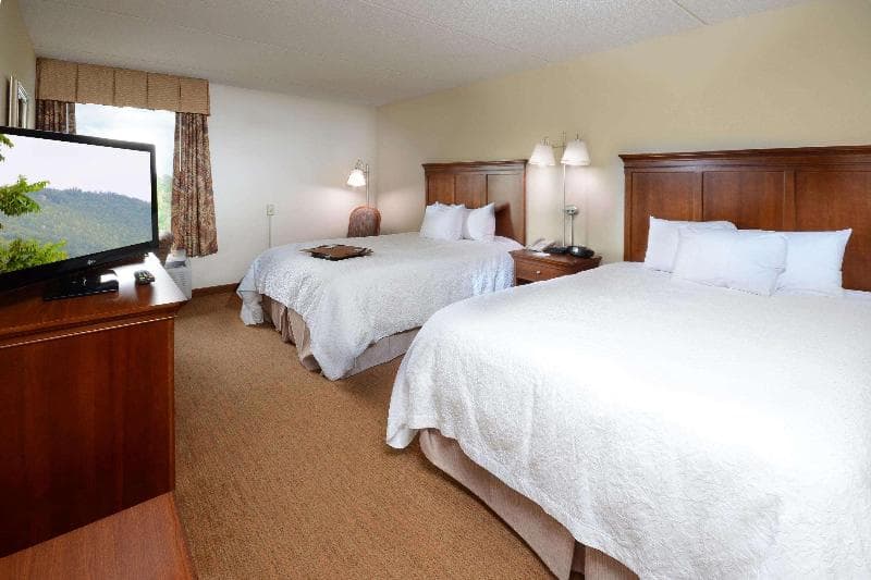 Hampton Inn Raleigh-Capital Blvd. North 5