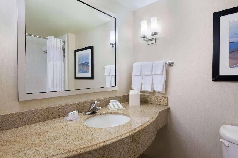 Hilton Garden Inn Tampa Airport Westshore 4