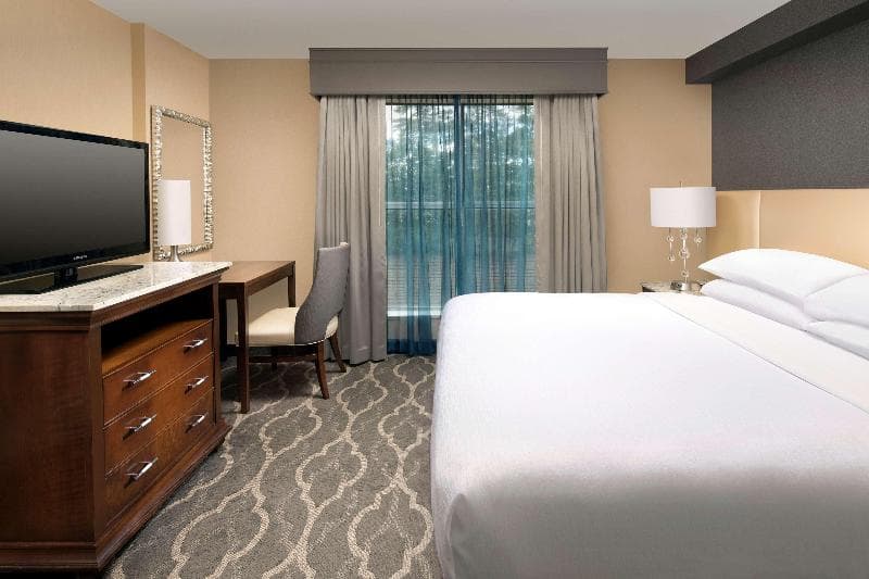 Embassy Suites by Hilton Atlanta Airport 5
