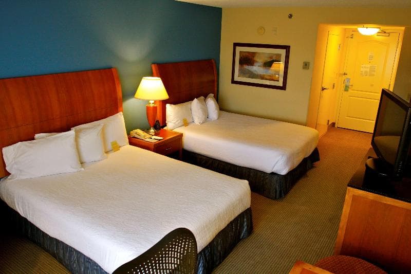Hilton Garden Inn Albany 3