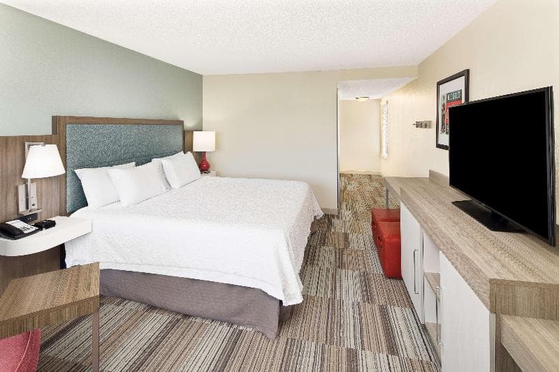 Hampton Inn Atlanta-Georgia Tech-Downtown 3