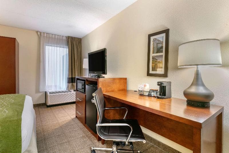 Comfort Inn Downtown 2