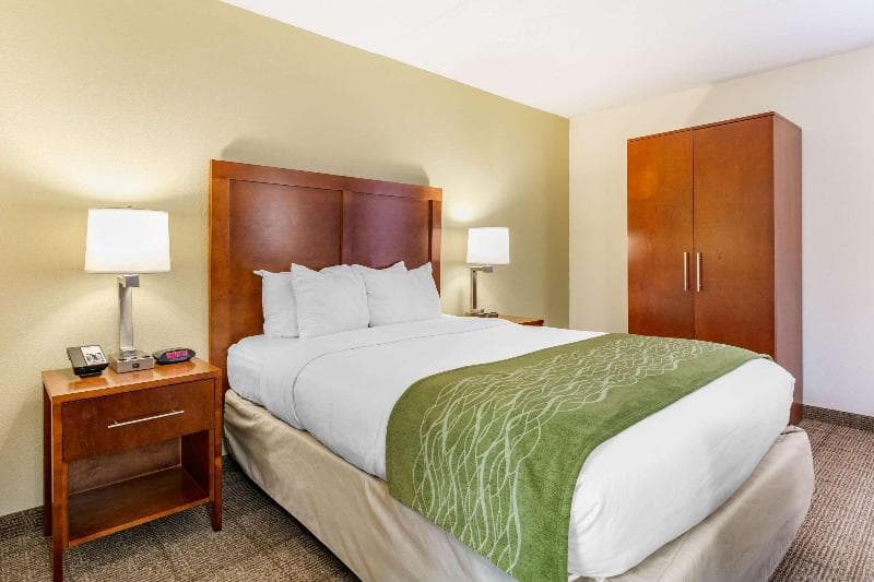 Comfort Inn Downtown 5