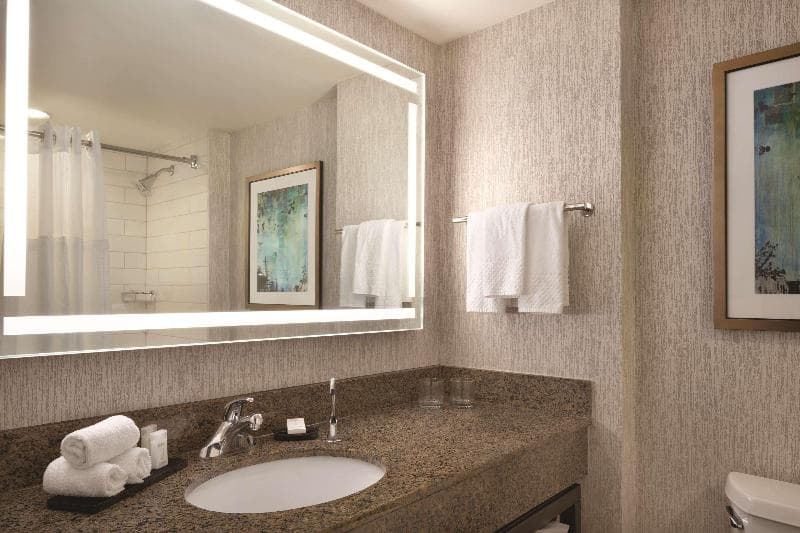Embassy Suites by Hilton Atlanta at Centennial Olympic Park 5
