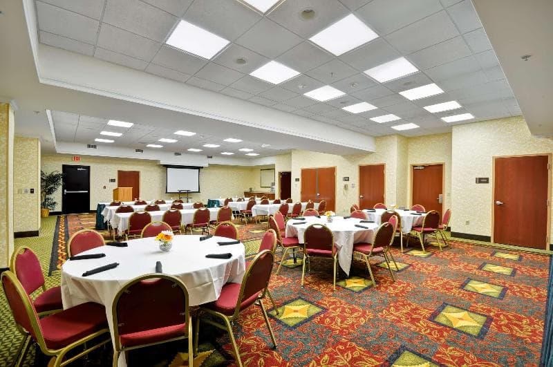 Hilton Garden Inn Tampa Northwest/Oldsmar 5
