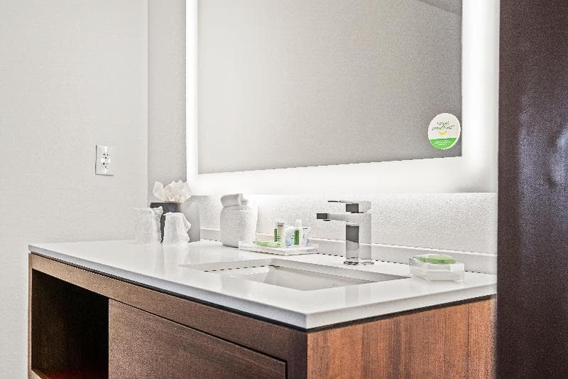Holiday Inn St. Petersburg West 5