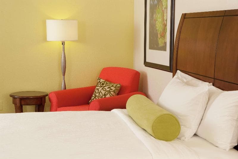 Hilton Garden Inn Orlando Airport 3