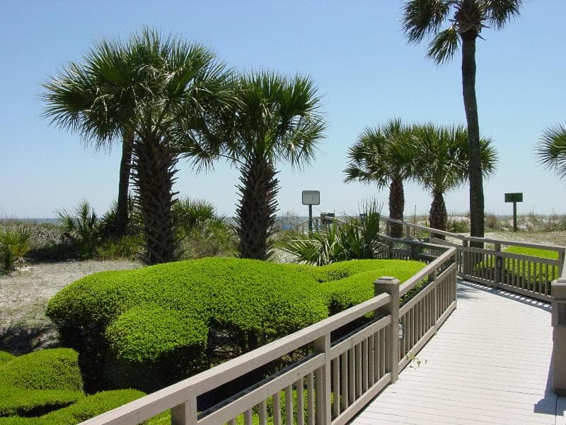 Omni Hilton Head Oceanfront Resort 4