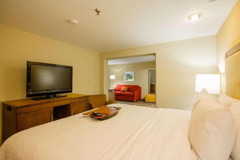 Hampton Inn Atlanta-Northlake 4