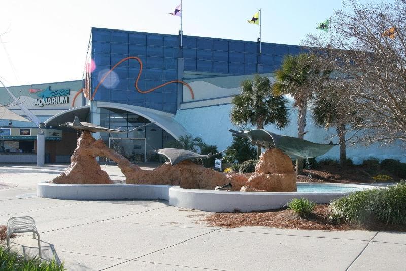 Hampton Inn Myrtle Beach-West 5