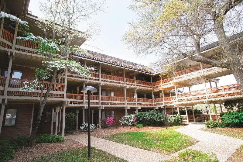 Kingston Plantation Condos 4