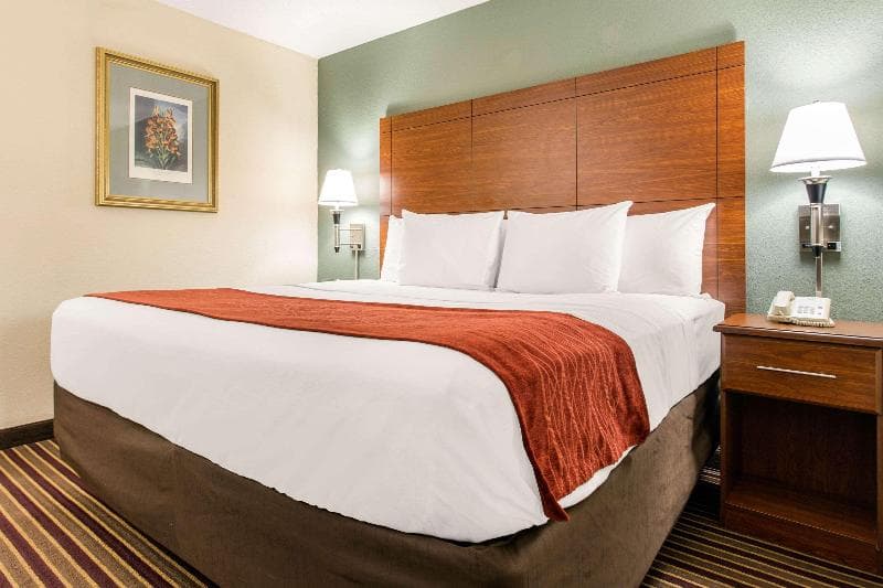 Best Western Plus Raleigh Crabtree Valley Hotel photo 1