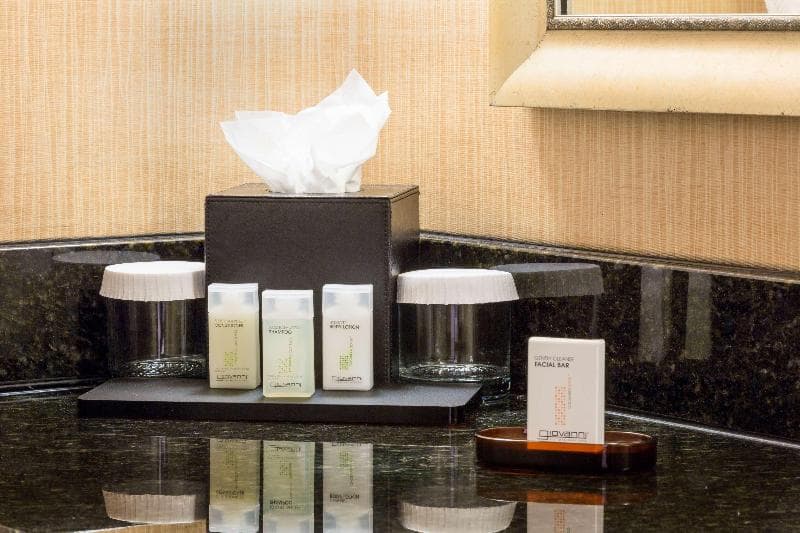 Embassy Suites By Hilton Columbia Greystone 5