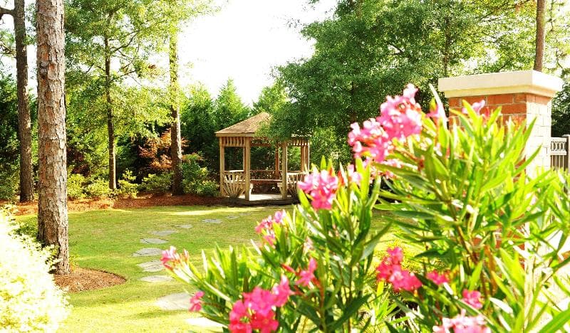 Hampton Inn Wilmington-Medical Park 5