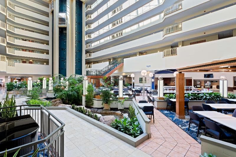 Embassy Suites by Hilton Tampa USF Near Busch Gardens 3