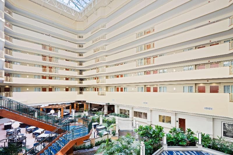 Embassy Suites by Hilton Tampa USF Near Busch Gardens 2
