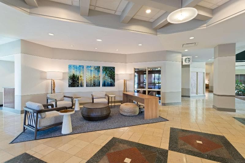 Embassy Suites by Hilton Tampa USF Near Busch Gardens 5