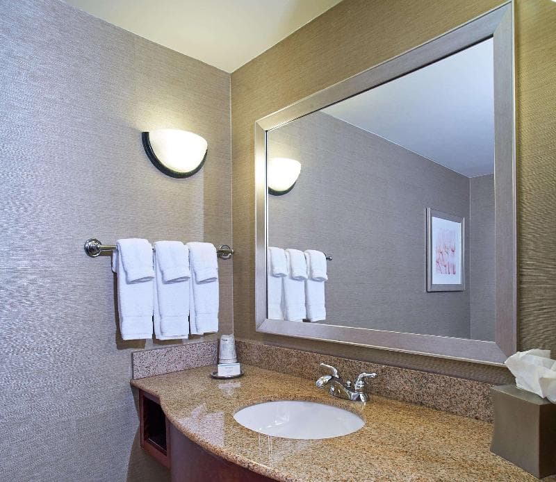 Hilton Garden Inn Atlanta NE/Gwinnett Sugarloaf 4