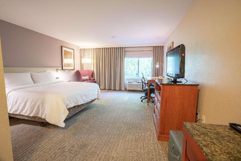 Hilton Garden Inn Seattle/Renton 3