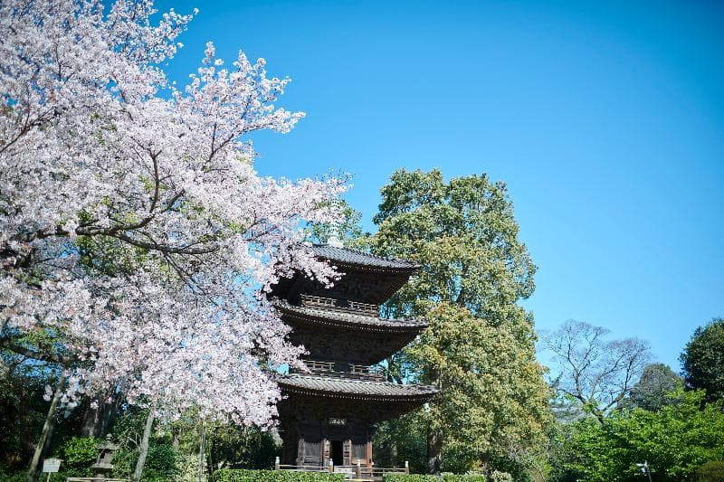 Hotel Chinzanso Tokyo 5