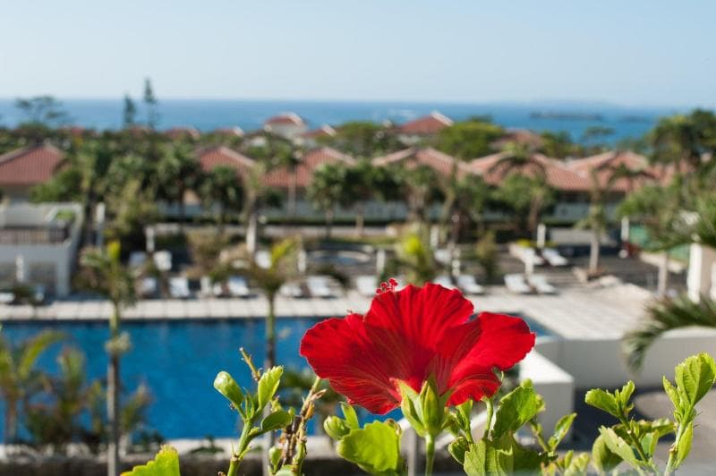Kanucha Resort 3