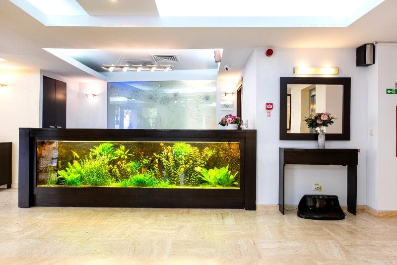 Hotel Duke Armeneasca 4