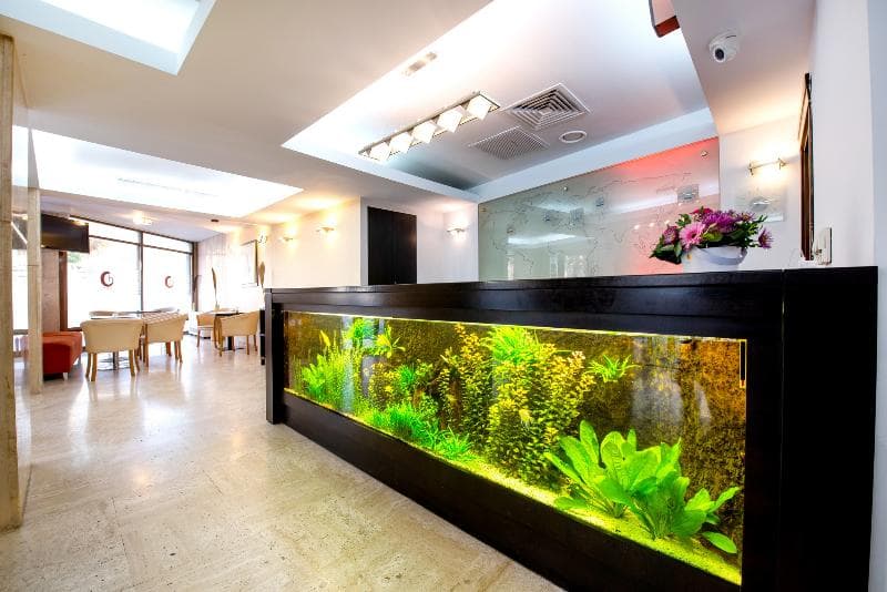 Hotel Duke Armeneasca 5