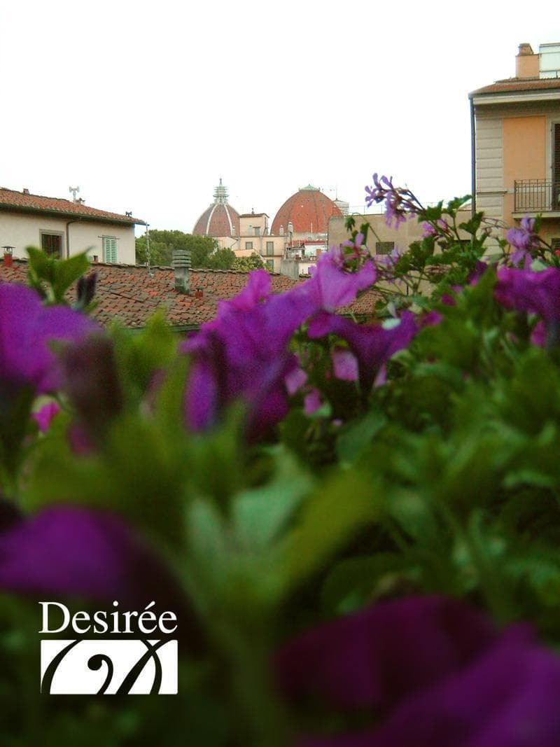 Hotel Desiree 3